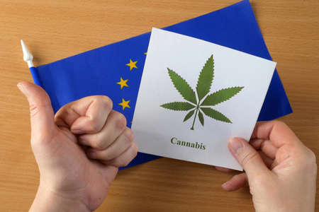European Union flag and cannabis image. Legal hemp or marijuana concept. medical cannabis. top viewの写真素材