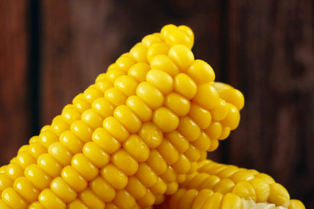 piece of sweet corn and seeds closeup, macroの写真素材