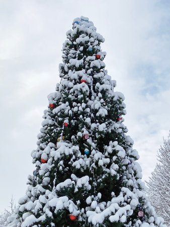Christmas decoration on fir tree under snow on new year card, merry xmas and happy new year,...