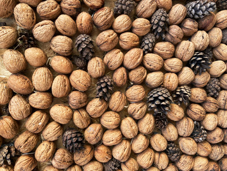 Many cones and nuts composition background, closeupの写真素材