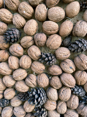Set of organic nuts and cones background, natural food concept, top viewの写真素材