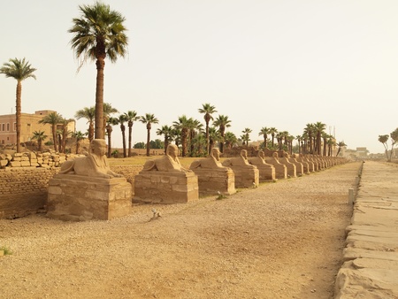 Luxor's 'Sphinx Avenue' to Be Restored. Lined with a number of statues in the shape of sphinxes -- thus the name の写真素材
