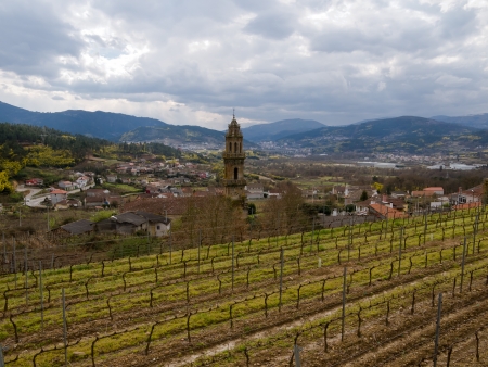 Vineyards and villages  Ourense, Galicia, Spainの写真素材
