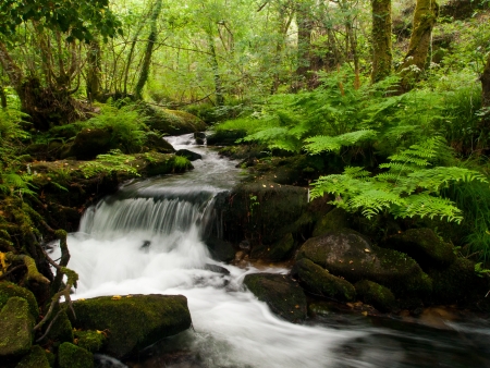 Roxos river near Santiago de Compostelaの写真素材