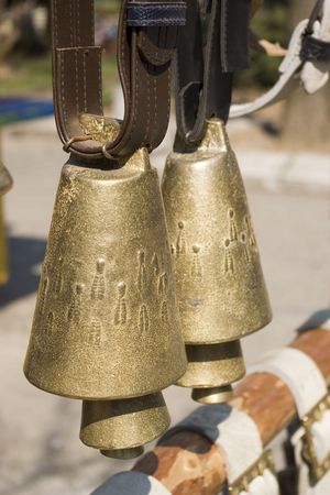Two nice cow bellsの写真素材