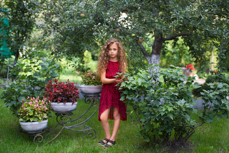 Girl with long hair on nature in a warm summer dayの写真素材