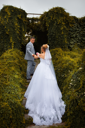 Newlyweds on a walk in the summer day weddingの写真素材