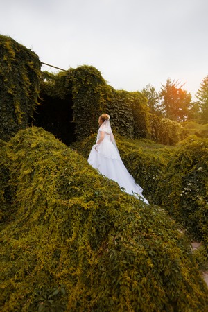 Stylish bride in a white wedding dress in summer dayの写真素材