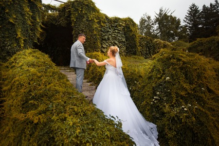 Newlyweds on a walk in the summer day weddingの写真素材