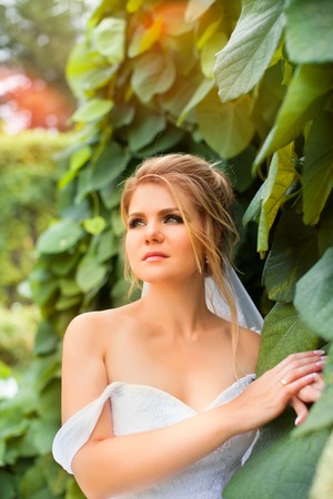Stylish bride in a white wedding dress in summer dayの写真素材