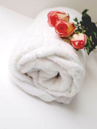 Rose Bud Bathroomの写真素材