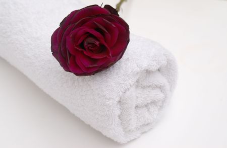 Red Rose Bathroomの写真素材