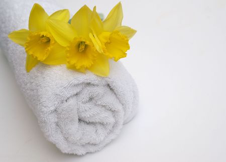 Spring Bathroomの写真素材