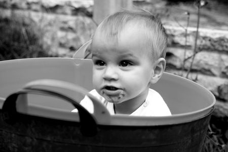 Mucky Pup in basketの写真素材