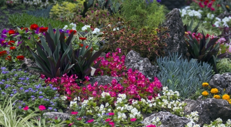 bed, flowersの写真素材