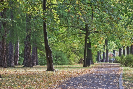 autumnの写真素材