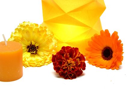 Burning candle in a paper lamp with flowersの写真素材