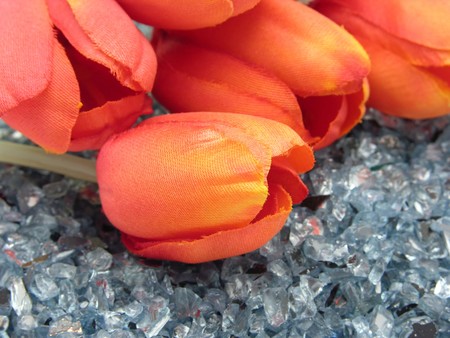 plastic tulips on glitterの写真素材