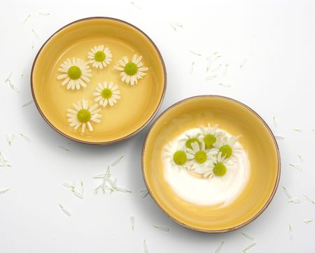 Camomile blooms in water and cream in ceramic bowls surrounded by white petalsの写真素材