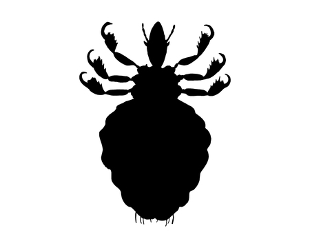 The black silhouette of a human louseのイラスト素材
