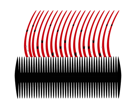 Lice comb and hair with nits on white backgroundのイラスト素材