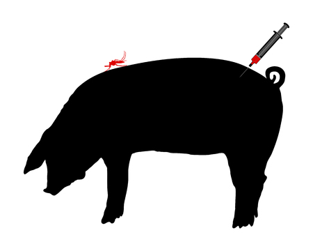 Pig gets an immunization against diseases of midge bitesのイラスト素材
