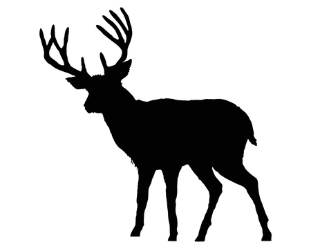 The black silhouette of a deer on whiteのイラスト素材
