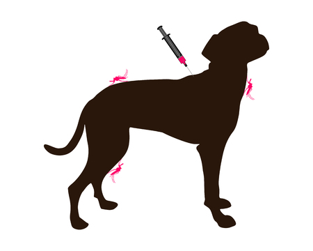 Dog gets an immunization against a disease of mosquito bitesのイラスト素材