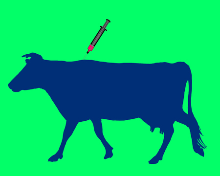 Cow gets an inoculation against blue tongue diseaseのイラスト素材