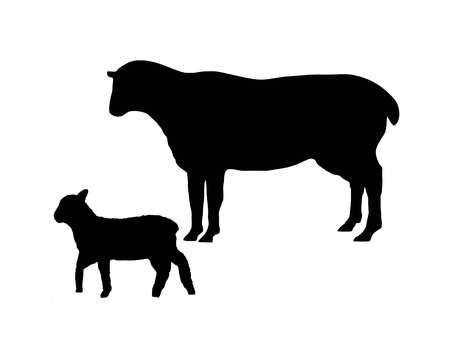 The black silhouettes of a sheep and a lamb on whiteのイラスト素材