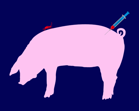 Pig gets an immunization against diseases of midge bitesのイラスト素材