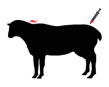 Sheep gets immunization against diseases caused by midge bitesのイラスト素材