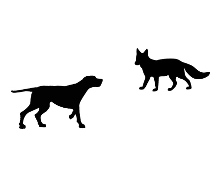 Two animals, setter and fox meet face to faceのイラスト素材