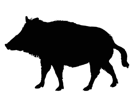 The black silhouette of a boar on whiteのイラスト素材