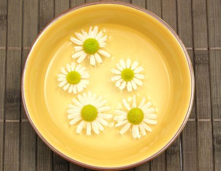 Camomile blooms swim in the water of a  ceramic bowlの写真素材