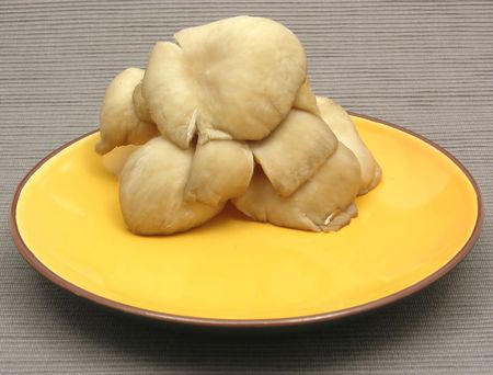 Oyster mushrooms on ceramic plate on grayの写真素材