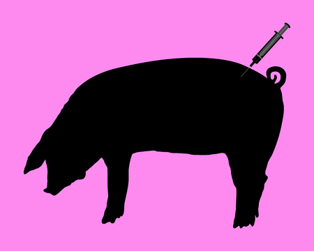 Swine gets an inoculation because of swine fluのイラスト素材
