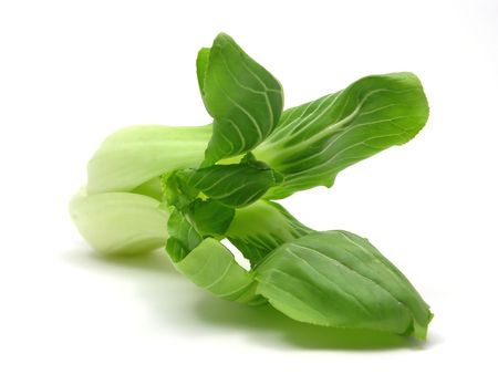 Pak choi arranged on a white backgroundの写真素材