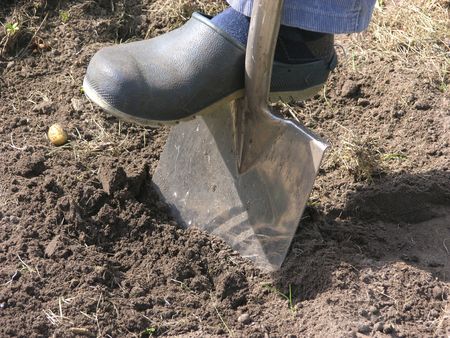Cutout man with spade doing work in the gardenの写真素材