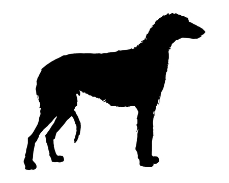 The black silhouette of a scottish Deerhoundのイラスト素材