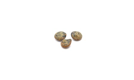 Detailed but simple image of lentils du Puyの写真素材
