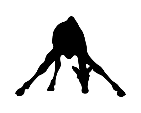 Detailed and isolated illustration of the mammal giraffeのイラスト素材