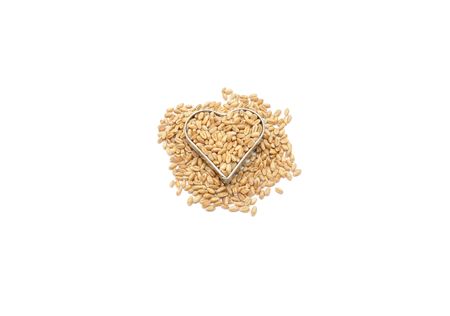 Detailed but simple image of cookie cutter with wheatの写真素材