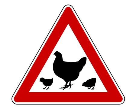 Hen and chicks warning signの写真素材