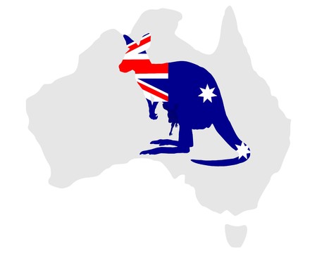 Australian kangarooの写真素材