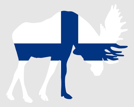 Rutting moose in finnish flagの写真素材