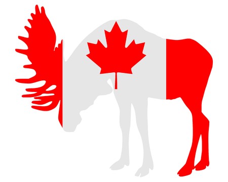 Moose in flag of canadaの写真素材