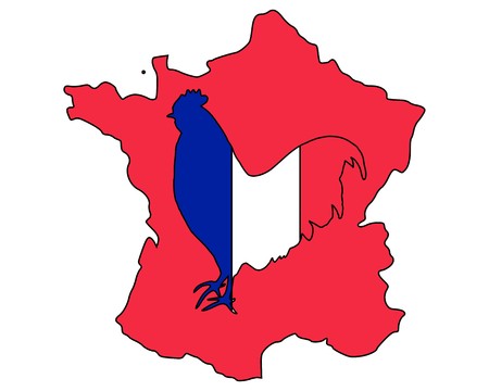French cockのイラスト素材