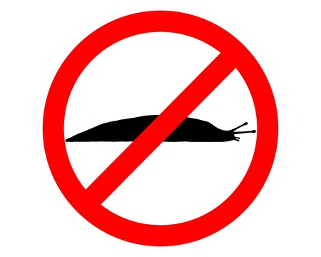 Prohibition sign for slugsのイラスト素材