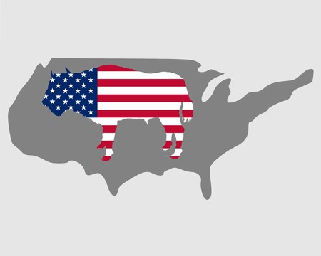 American buffaloのイラスト素材
